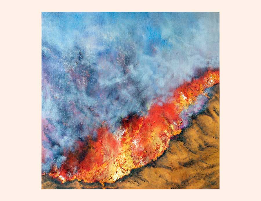Art Kelly McLeod California Fires, 2020