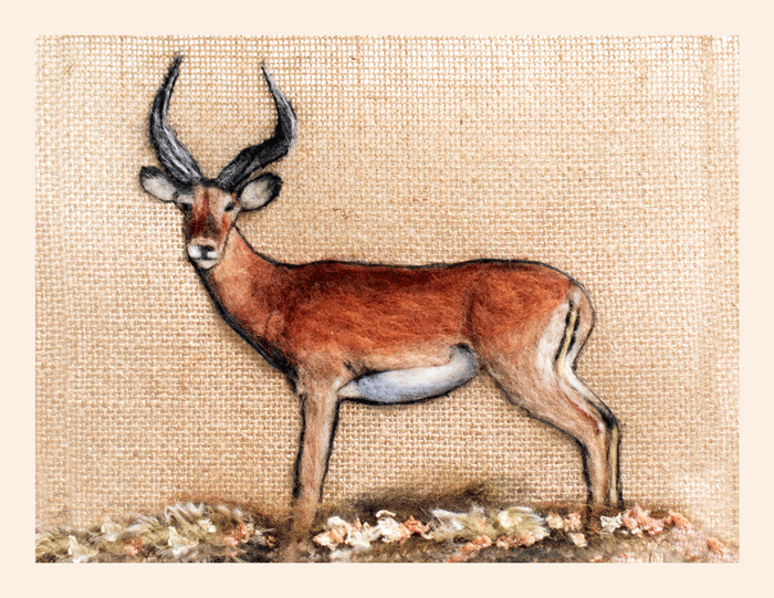 Art Kelly McLeod Gazelle