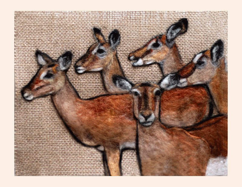 Art Kelly McLeod Herd Of Gazelles